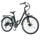 isinwheel U2 City Commuter Electric Bike