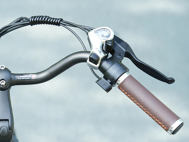 Pedal Assist & Throttle